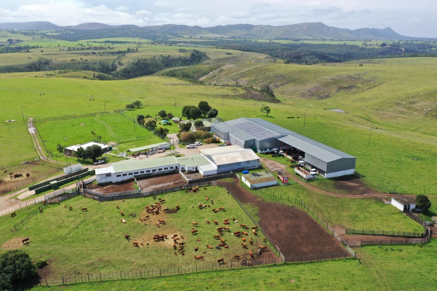 3 Bedroom Property for Sale in Thornhill Eastern Cape